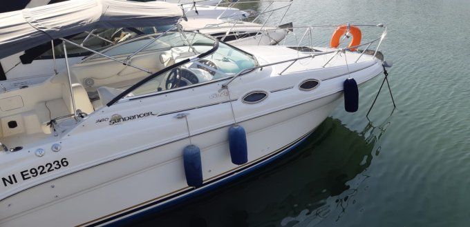 SEARAY 260 SUNDANCER